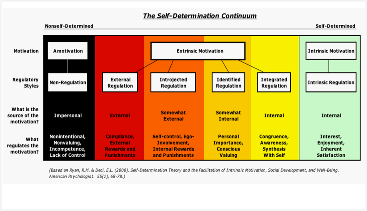 SELF DETERMINATION THEORY Alberto Venturini